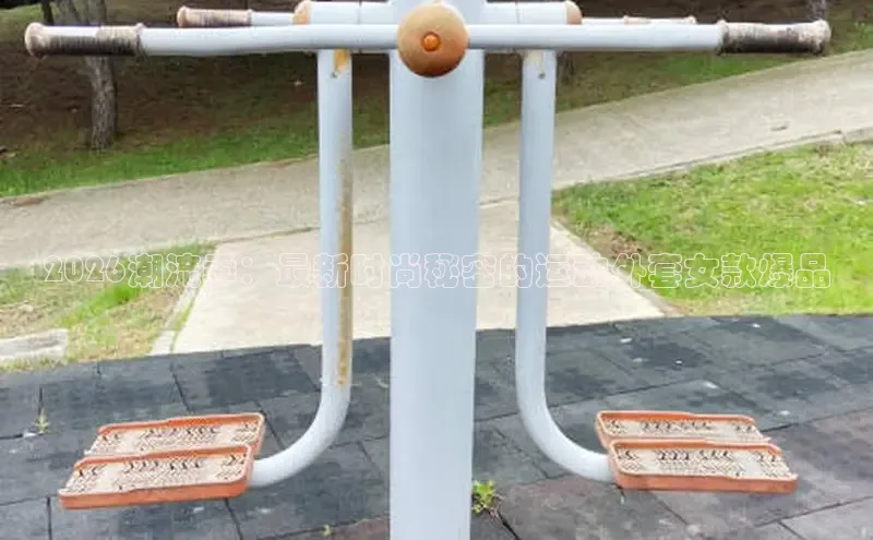 xc体育官网入口